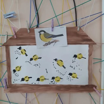 Птички-синички и семечки