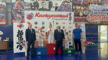 Новые достижения наших детей!