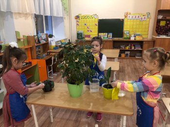 Учимся ухаживать за растениями