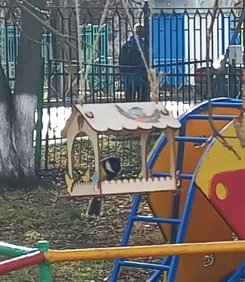 Сезон кормушек открыт!